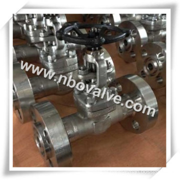 320bar F316L Flanged Globe Valve for Power Station